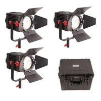

Came-TV Boltzen F150W 150W MKII Fresnel Focusable LED Daylight 3-Light Kit with Hard Case
