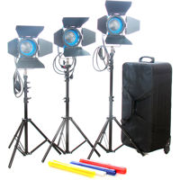 

Came-TV 3x 650W Fresnel Tungsten Continuous Spot Video Studio Lights