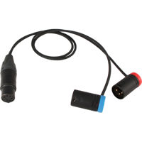 

Cable Techniques Straight XLR 5-Pin Female to (2) Low-Profile XLR 3-Pin Male Stereo Y Cable, 18"