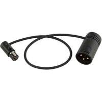 

Cable Techniques LPS Low-Profile TA3F to LPXLR-3M Cable, 12" - Black Caps