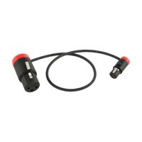 

Cable Techniques Low-Profile LPXLR-3F to TA3F Cable, 12", Red Caps