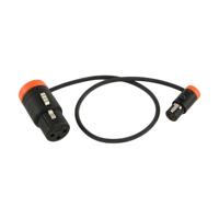 

Cable Techniques Low-Profile LPXLR-3F to TA3F Cable, 24", Orange Caps