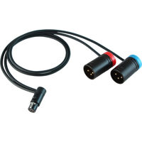 

Cable Techniques 24" LPS Low Profile TA5 5-Pin Female to 2x XLR 3-Pin Male Y-Cable for Lectrosonics SRc5P/SRb5P & DCHR Receivers
