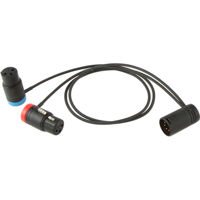 

Cable Techniques 18" Low-Profile XLR-3F to XLR-5M Stereo "Y" Cable for Camera-Mounted Mics