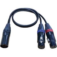 

Cable Techniques 18" Neutrik 2x XLR 3-pin Female to 1x XLR 5-pin Male Canare L2E5 Y Cable, Gold Pin / Black