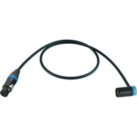 

Cable Techniques 3' Premium Low Profile Straight XLR-3F to XLR-3M Right-Angle Mogami W2549 Microphone Cable, Blue Cap/Ring