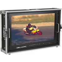 

Delvcam 4K UHD HDMI 3G-SDI Monitor Quad View LED Broadcast Monitor Mounted in Rugged Carrying Case, 24", 3840x2160