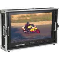 

Delvcam 4K UHD HDMI 3G-SDI Monitor Quad View LED Broadcast Monitor Mounted in Rugged Carrying Case, 24", 3840x2160