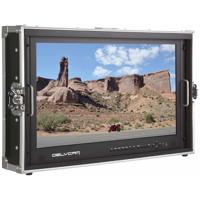 

Delvcam DELV-4KSDI28 4K UHD Multi-Format 28" Quad View LED Broadcast Monitor, 3840x2160, Mounted in Rugged Case