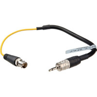 

Delvcam 12" 3.5mm Male to BNC Female Adapter Cable for Monitors