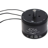 

DJI 4216 Motor for E1200 Tuned Propulsion System, CCW Rotation