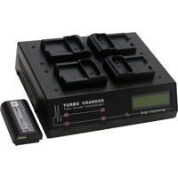 

Dolgin Engineering TC400 Four-Position Simultaneous Battery Charger with Diagnostics Display for Panasonic DMW-BLJ31 Batteries