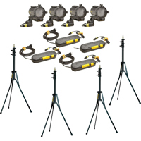 

Dedolight KA24-4 Basic Four Light 150W/24V Tungsten Kit, 230V, Includes 4x DLH4 Light Head, 4x DT24-1 Dimmable Electronic Power Supply and 4x DBD8 Barn Door