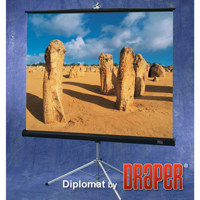 

Draper Diplomat/R 96x96" Portable Tripod Projection Screen, 136" Diagonal, Square Format, Matte White with Black Carpet Case