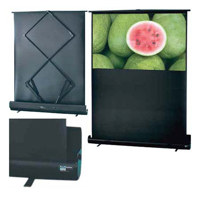 

Draper RoadWarrior Portable Projection Screen, HDTV Format, 36x64", 73.4" Diagonal, Matte White Surface