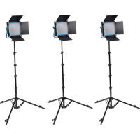 

Dracast S-Series Plus LED500 Bi-Color 3-Light Kit with NPF Plates and Hard Case