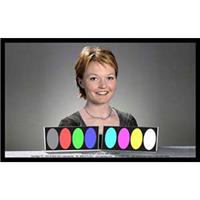 DSC Labs Tricia with Color Bars Junior CamAlign Chip Chart, 17x10"