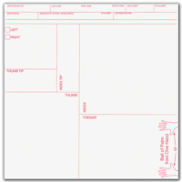 

Evident Standard Supplemental Finger & Palm Print Cards, 100 Pack