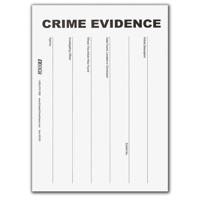 

Evident 6x9" Evidence Envelopes, 100 Pack, White