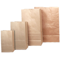 

Evident Blank Paper Bag, 100 Large, 11x6x17"