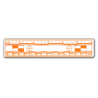 

Evident Fluorescent 6" Plastic Photo Scale, Pack of 10