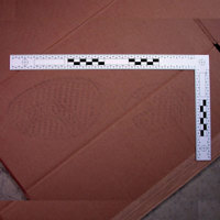 

Evident Reversible Footwear & Tire Track Scale, 15x30cm