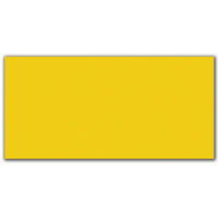 

Evident 6x12" Forensic Viewing Plate, Yellow