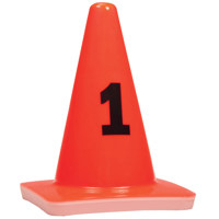 

Evident Photo Marker Cones, Numbers 1-25