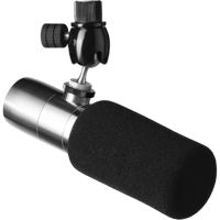 

Earthworks ETHOS XLR Broadcasting Microphone, Stainless Steel