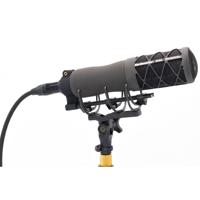 

Earthworks SV33 Studio Vocal Microphone with Custom Rycote Shock Mount
