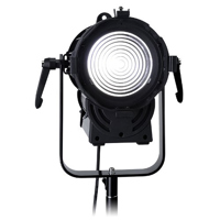 

Fotodiox DY-200w Daylight Fresnel LED Light Kit, Includes U-Shape Light Stand, Removable Barn Door with Gel Clips, Handheld Wireless Remote Control, Security Cable Wire