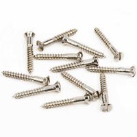 

Fender 6x1" Vintage Accurate Slotted Bridge-Strap Button Mounting Screw for '50s Telecaster and Esquire Guitars, Nickel, 12 Pieces