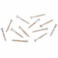 

Fender 3x1" Vintage Accurate Slotted Neck Pickup Mounting Screw for '50s Telecaster and Esquire Guitars, Nickel, 12 Pieces