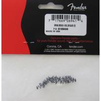 

Fender 3/8" Intonation Springs for American Deluxe ('86-Present) and American Standard ('86-'07 only) Stratocaster Electric Guitar, A,D,B and High E String, Tall, 12 Pieces