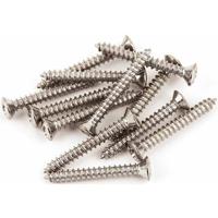 

Fender 5x1" Oval-Head Mounting Screws for American Telecaster Electric Bass Guitars, 12 Pieces, Chrome