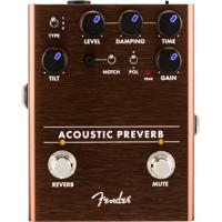 

Fender Acoustic Preamp/Reverb