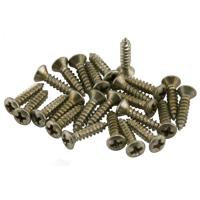 

Fender Road Worn Pickguard Control Plate Screws, 24-Pack