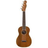 

Fender Zuma Concert Ukulele, 16 Frets, Nato Neck, Rosewood Fingerboard, Open Pore Satin, Natural