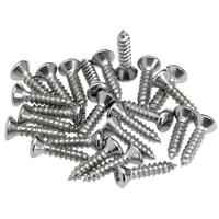 

Fender Chrome Pickguard / Control Plate Mounting Screws, Set of 24