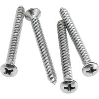 

Fender Chrome Neck Mounting Screws, Pack of 4