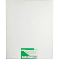 

Fujifilm Fujicolor Crystal Archive Super Type II Color Enlarging Paper - 16x20"-50 Sheets - Lustre Surface.