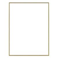 

Framatic Tempo Classic Semi-Round Top Aluminum Frame, For a 4X6" Photograph, Color: Gold