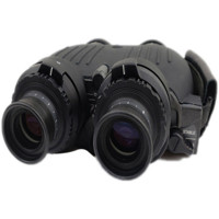 

Fraser Optics 10x41 S250 Stedi-Eye Image Stabilized Water Proof Porro Prism Binocular with 4.3 Degree Angle of View, with Case, Black