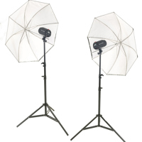 

Flashpoint Budget Studio Monolight Flash, 120 Watt Seconds - Portrait Kit