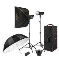 

Flashpoint Rapid 400 R2 2-Light Studio Flash Kit