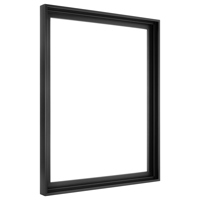 

MCS Canvas Float 16x20" Frame