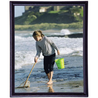 

MCS Bullnose Series, Wood Picture Frame for a 8x10" Photograph, 1/2" Width, Color: Black.