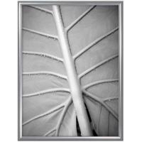 

MCS Classic Aluminum 16x20" Frame, Silver