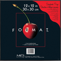 

MCS Plastic Format Frame for a 12x12" Photograph, Color; Black