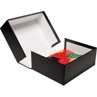 

Print File Clamshell Portfolio Box with White Lining, 16.25x20.25x4"